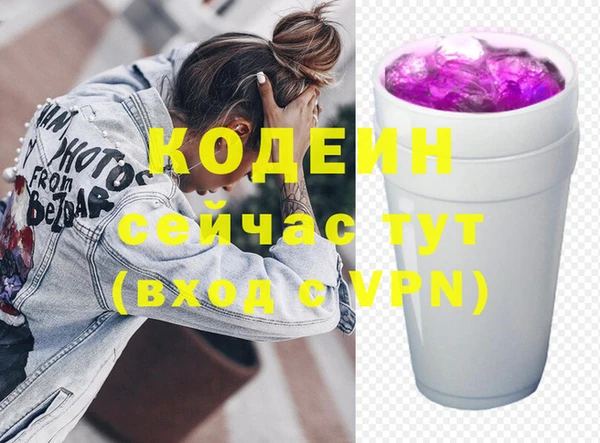 индика Лабытнанги