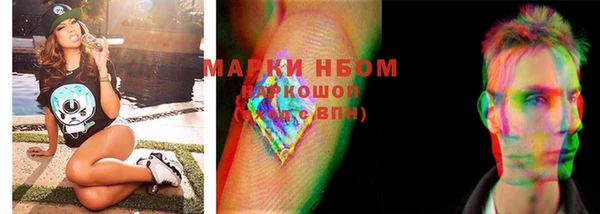 индика Лабытнанги