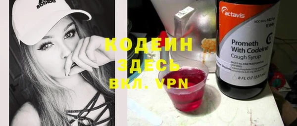 индика Лабытнанги