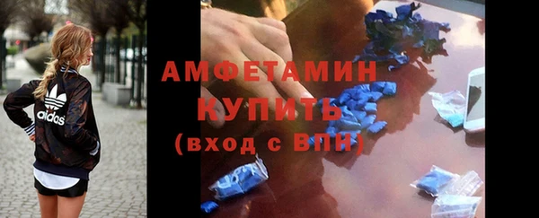 амф Ладушкин