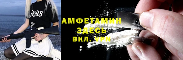 индика Лабытнанги