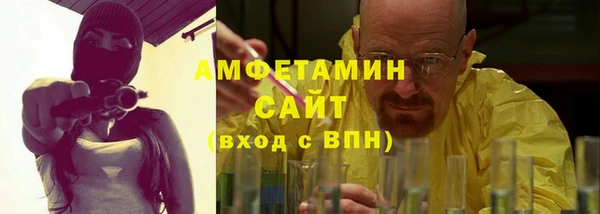 амф Ладушкин