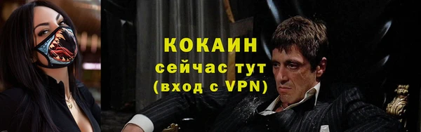 индика Лабытнанги