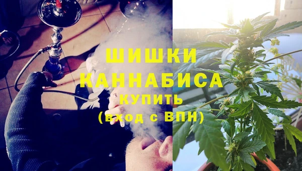 индика Лабытнанги
