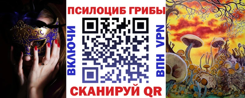 Галлюциногенные грибы Cubensis  Купить закладки  Петровск 